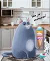 IMG_20221113_184236.webp