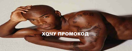 1668580463315.webp
