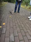 1668233126073.webp
