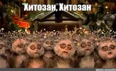 IMG_20221120_004208.webp