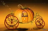 31352dbf040245c4.webp