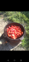 Screenshot_20221123-195306.webp