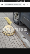 Screenshot_2022-11-30-11-16-58.webp