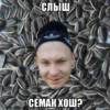 mc-konkretnyy-semechki_231344762_orig_ (1).png