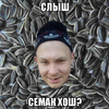 mc-konkretnyy-semechki_231344762_orig_ (1).webp