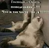 IMG_20221205_080414.webp
