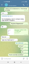 Screenshot_2022-12-04-11-25-43-362_org.telegram.messenger.webp