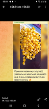 Screenshot_20221206-005404.webp