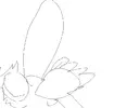 Безымянный.webp