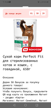 Screenshot_20221206-220932.webp