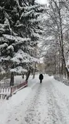 погода.webp