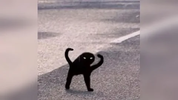 1671141730094.webp