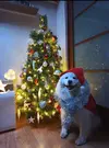 IMG_20221218_103414.webp