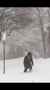 Screenshot_2022-12-25-14-46-11.webp