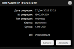 FireShot Capture 004 - PAYEER - История - payeer.com.png