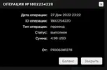 FireShot Capture 004 - PAYEER - История - payeer.com.webp