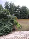 20210818_180009.webp