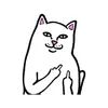 noski-kot-s-fakami-lord-nermal-ripndip-chernye.webp
