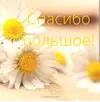 IMG_20230114_135956.webp