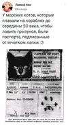 1FCDB620-4B51-4D32-A6A7-68ABF59027FE.webp