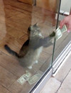 1676379319520.webp