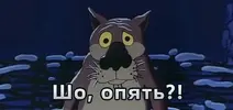 1456902184908594.webp