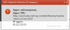 xoxmodav.webp