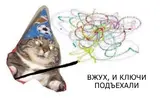 2PAkulx.webp