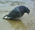 Screenshot_20230301-222555.webp