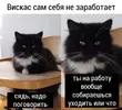 0_8gbppX-Xk.webp