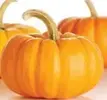 upload_2017-4-6_21-57-11.webp
