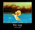 Xr6HWkznUwM.webp
