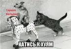 0306130336074186.webp