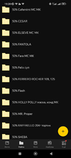 Screenshot_2023-03-19-19-28-08-297_ru.yandex.disk.webp