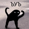 ED8BD6D9-6AD8-49D4-A374-22BC6602E6AD.webp