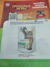 4.webp