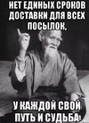 14.webp