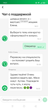 11.webp