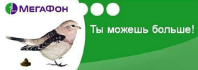 14.webp