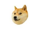 sgCb4jhuzg8.webp