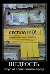14.webp