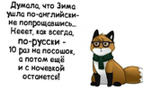 14.webp