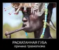 Губа.webp