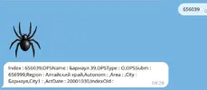 Выделение_999(004).webp