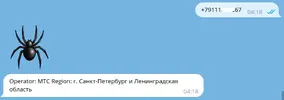 Выделение_999(001).webp