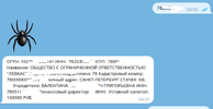 Выделение_999.webp