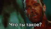что тытакое.webp