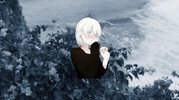 6.webp