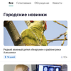 00B48CB8-47E7-48C6-8529-8D356DF1E99B.webp