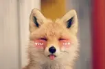 9626fbec63e0bee0ea0e3c0b5c91cc20.webp